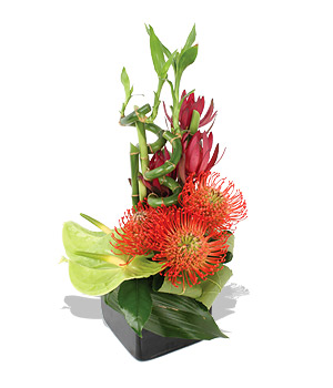 click here to view other pictures